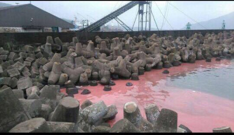 Kiem tra mau nuoc co vang do tai Vung Ang - Anh 1