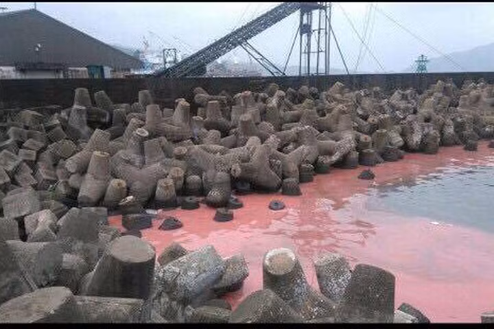 Kiểm tra mẫu nước có váng đỏ tại Vũng Áng