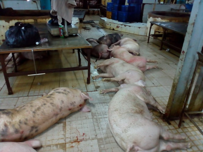 “Kẻ giết người hàng loạt” mang tên thuốc an thần ảnh 1