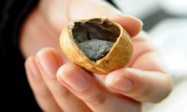 Công nghệ làm giả trứng, thịt, cá… của Trung Quốc - Ảnh 5