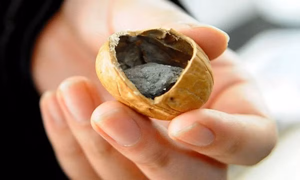 Công nghệ làm giả trứng, thịt, cá… của Trung Quốc - Ảnh 5