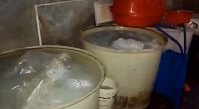 Công nghệ làm giả trứng, thịt, cá… của Trung Quốc - Ảnh 1