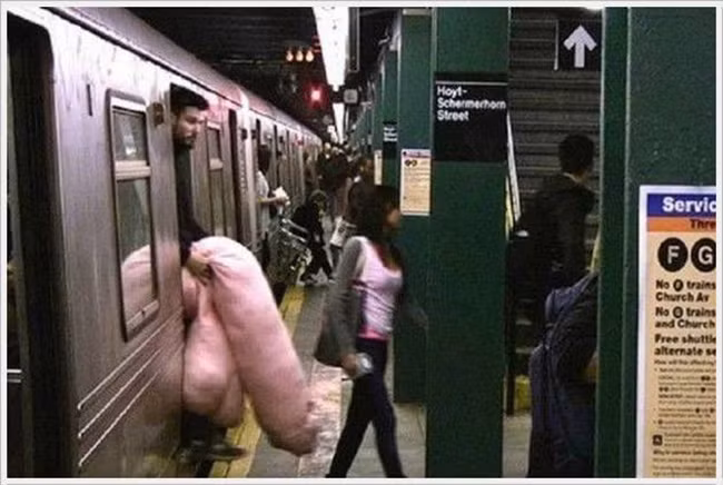 Hình ảnh dễ gây hiểu nhầm nhất quả đất.