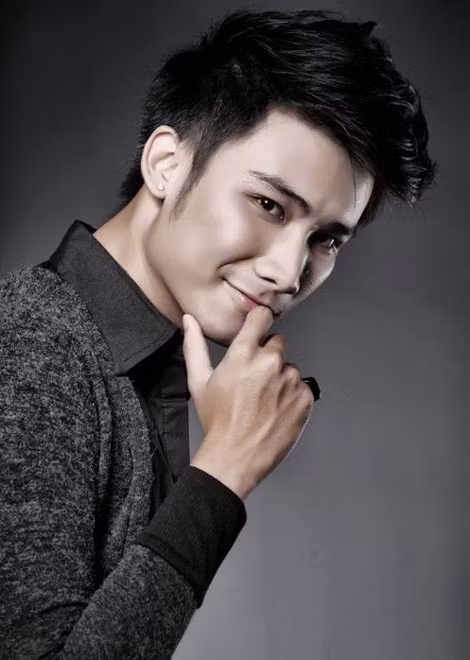 Top mỹ nam showbiz Việt ảnh 10