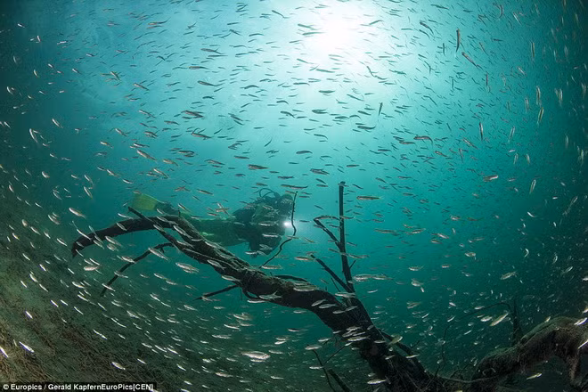 Ngất ngây vẻ đẹp huyền ảo, hoang sơ của hồ nước khi băng tan ảnh 7