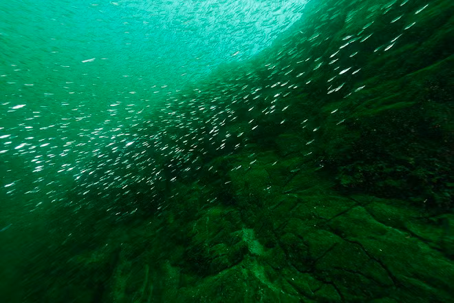 Ngất ngây vẻ đẹp huyền ảo, hoang sơ của hồ nước khi băng tan ảnh 11