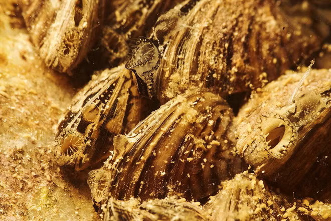 Ngất ngây vẻ đẹp huyền ảo, hoang sơ của hồ nước khi băng tan ảnh 10