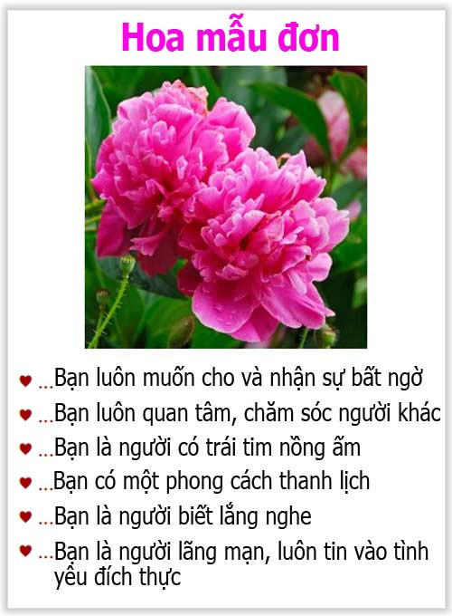 Loài hoa yêu thích tiết lộ gì về tính cách của bạn? - 13