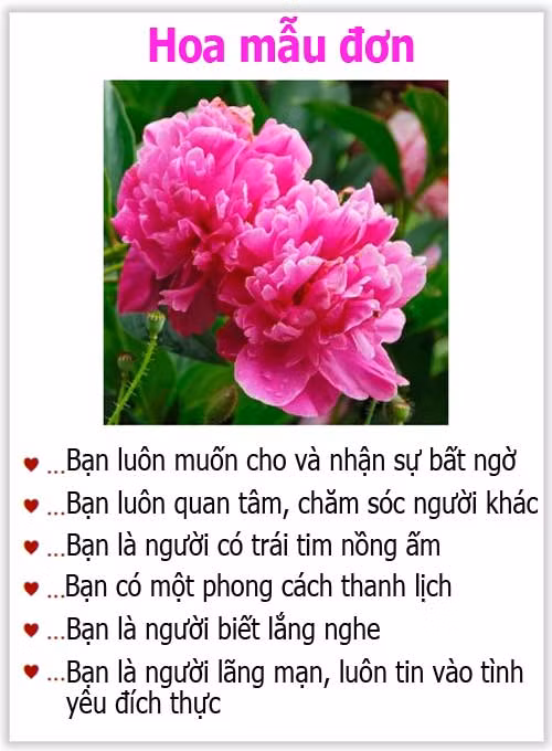 Loài hoa yêu thích tiết lộ gì về tính cách của bạn? - 13