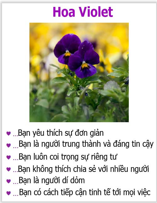 Loài hoa yêu thích tiết lộ gì về tính cách của bạn? - 6