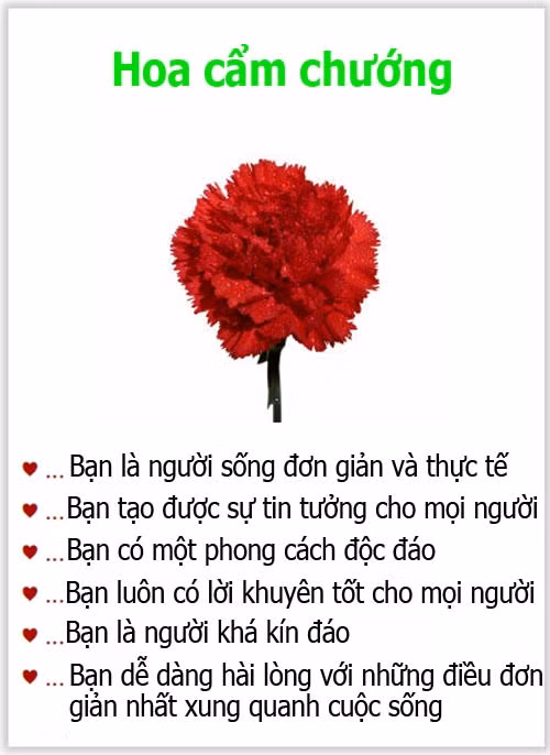 Loài hoa yêu thích tiết lộ gì về tính cách của bạn? - 3