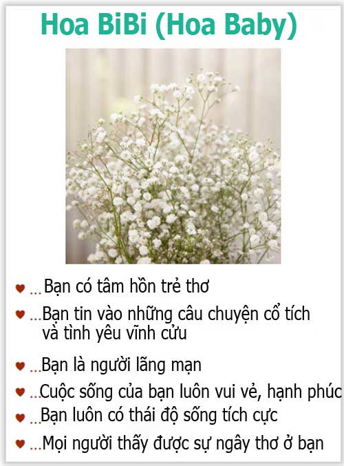 Loài hoa yêu thích tiết lộ gì về tính cách của bạn? - 8