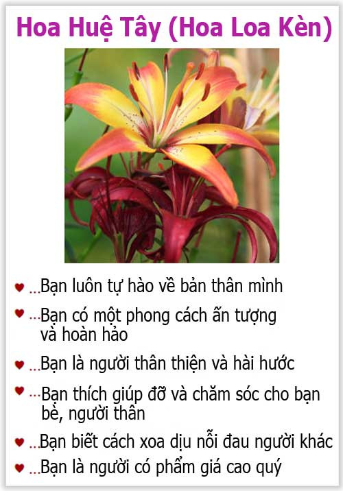 Loài hoa yêu thích tiết lộ gì về tính cách của bạn? - 9