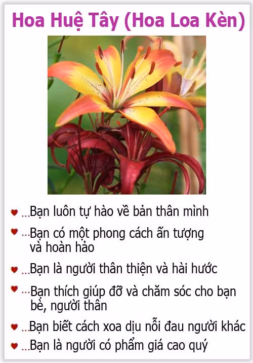 Loài hoa yêu thích tiết lộ gì về tính cách của bạn? - 9