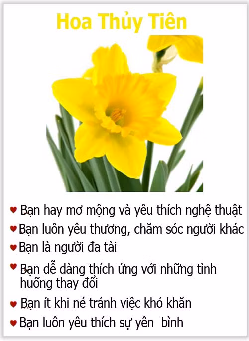 Loài hoa yêu thích tiết lộ gì về tính cách của bạn? - 11