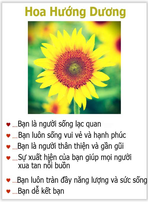 Loài hoa yêu thích tiết lộ gì về tính cách của bạn? - 10