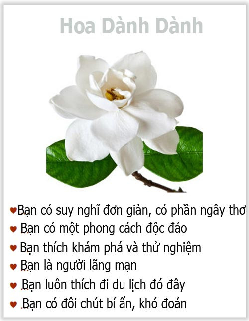 Loài hoa yêu thích tiết lộ gì về tính cách của bạn? - 7