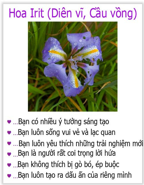 Loài hoa yêu thích tiết lộ gì về tính cách của bạn? - 14