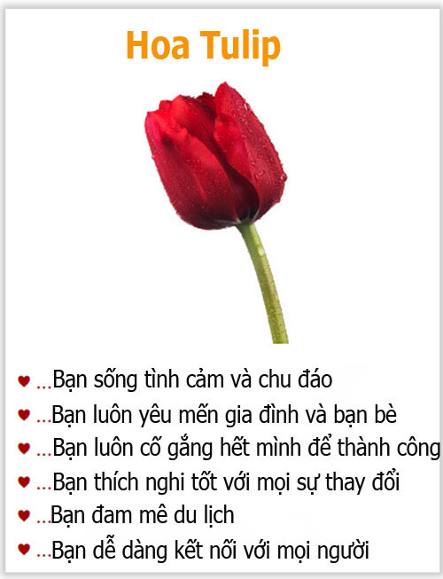 Loài hoa yêu thích tiết lộ gì về tính cách của bạn? - 4