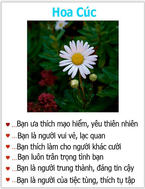 Loài hoa yêu thích tiết lộ gì về tính cách của bạn? - 2