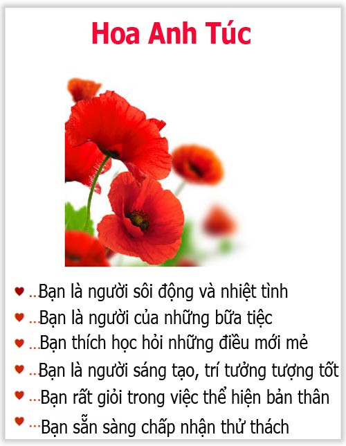 Loài hoa yêu thích tiết lộ gì về tính cách của bạn? - 12
