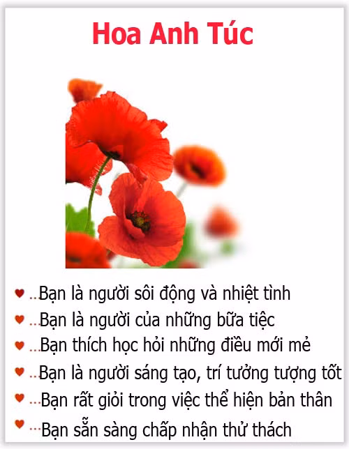 Loài hoa yêu thích tiết lộ gì về tính cách của bạn? - 12