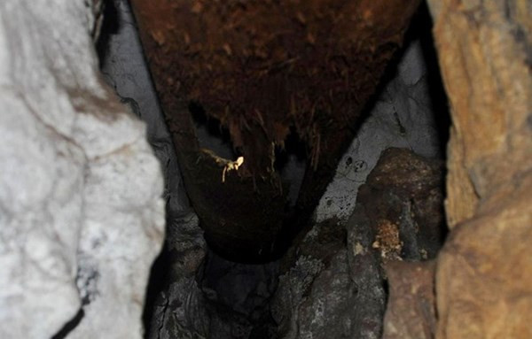 Phần đáy chiếc quan tài bị thủng. Mô tả ảnh.