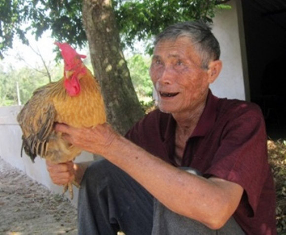 Thú vị gà "chuyển giới", gà biết uống bia, trông trẻ