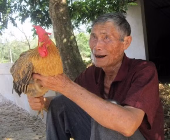 Thú vị gà "chuyển giới", gà biết uống bia, trông trẻ