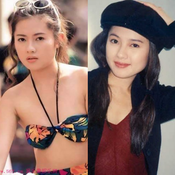 Cuộc sống "Nữ hoàng phim cấp ba Hong Kong" ở tuổi U50 ảnh 5 Nhan sắc một thời để nhớ của Lý Lệ Trân.