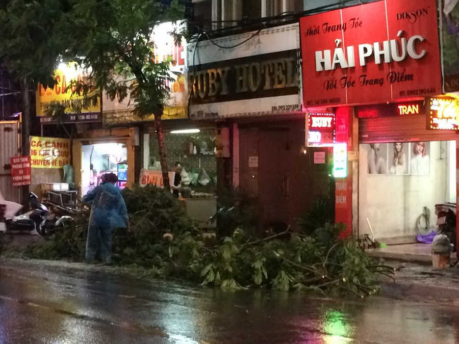 Cây được dọn trả lại đường thông thoáng