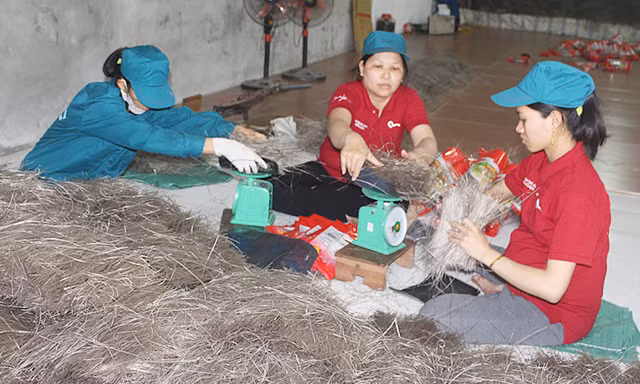 Sản phẩm miến Việt Cường của HTX miến Việt Cường (Huyện Đồng Hỷ).