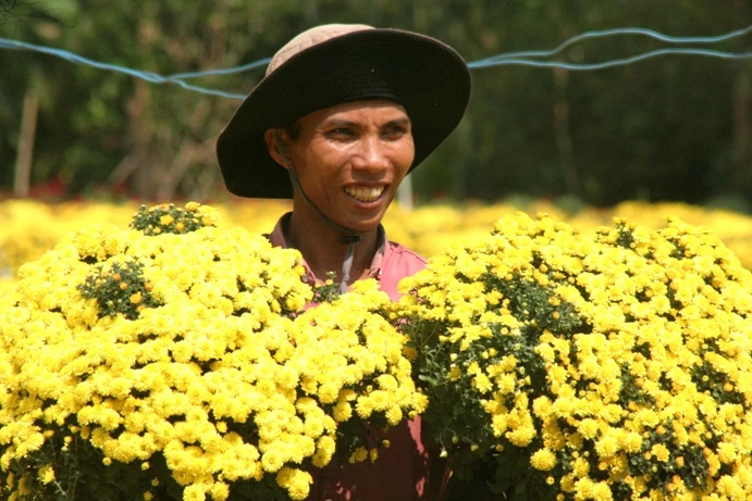 Rực rỡ làng hoa Sa Đéc ngày giáp Tết