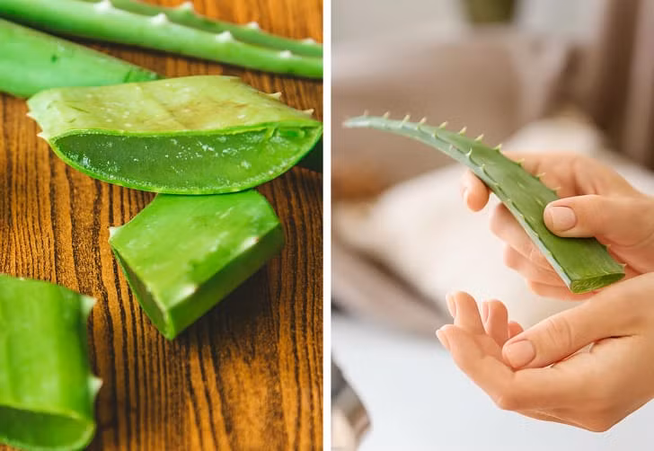 10 cách chữa lành vết thương tại nhà