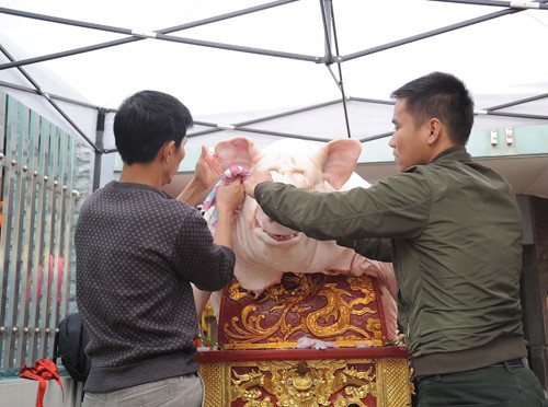 Độc đáo lễ hội rước 18 ông lợn