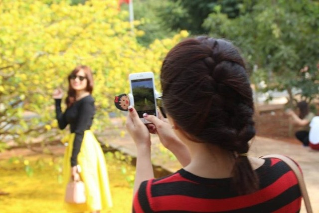 Hàng trăm người mỗi ngày chụp ảnh, tạo dáng bên gốc mai.