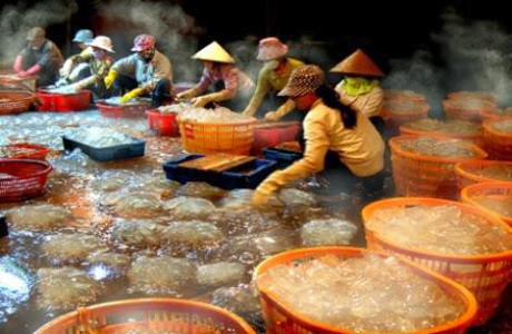 Ngư dân Thanh Hóa được mùa Ngu dan Thanh Hoa duoc mua