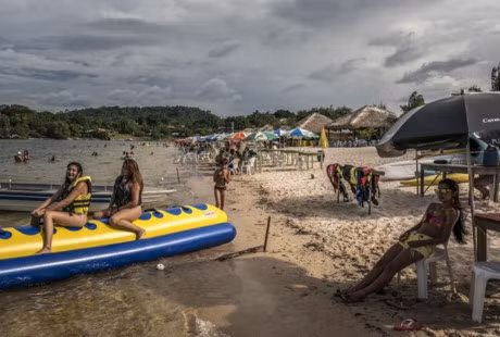 Bai tam ki la day muoi va kien giua rung ram Amazon - Anh 4