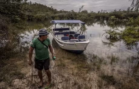 Bai tam ki la day muoi va kien giua rung ram Amazon - Anh 1