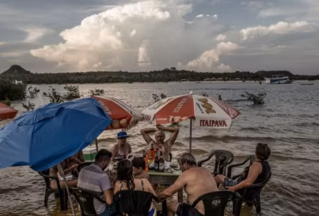 Bai tam ki la day muoi va kien giua rung ram Amazon - Anh 6