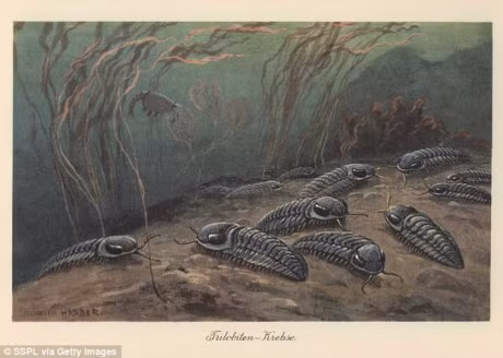 Dai tuyet chung lon nhat lich su dang quay tro lai? - Anh 2