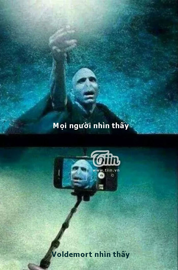 Ảnh vui