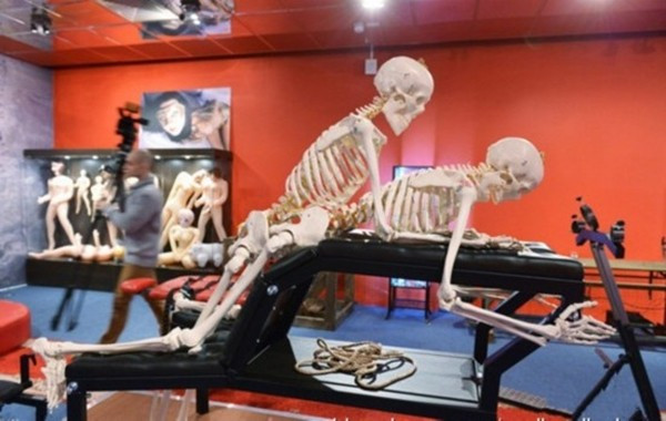 bảo tàng tình dục