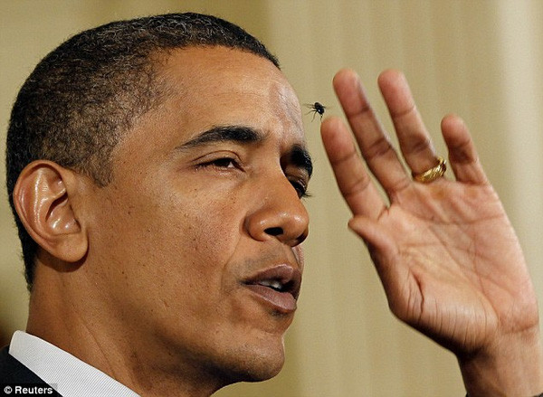 Không nhịn được cười: Cách ông Obama xử lý những tình huống trớ trêu trước đám đông ảnh 1 Không nhịn được cười: Cách ông Obama xử lý những tình huống trớ trêu trước đám đông ảnh 1