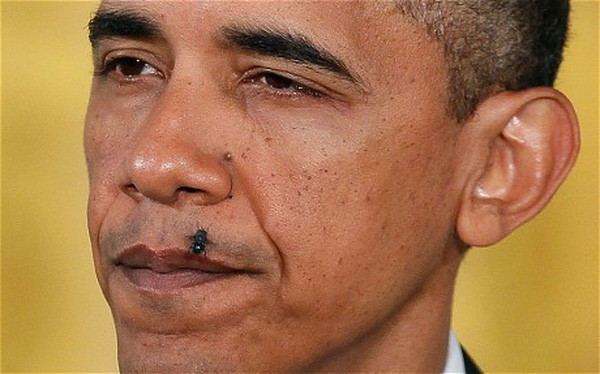 Không nhịn được cười: Cách ông Obama xử lý những tình huống trớ trêu trước đám đông ảnh 2 Không nhịn được cười: Cách ông Obama xử lý những tình huống trớ trêu trước đám đông ảnh 2
