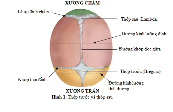 Con nguy kịch vì mẹ quá tham làm điều này