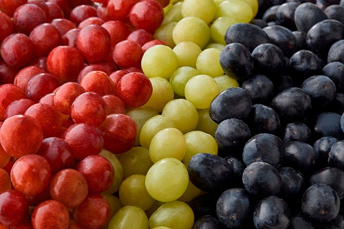 Các giống nho của Australia