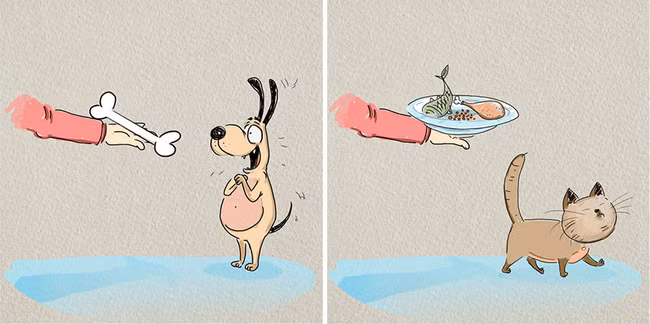 Bộ tranh: Đã tìm thấy lý do mà chó với mèo không thể chung sống hòa bình - Ảnh 3.