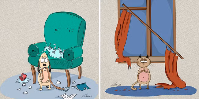 Bộ tranh: Đã tìm thấy lý do mà chó với mèo không thể chung sống hòa bình - Ảnh 5.