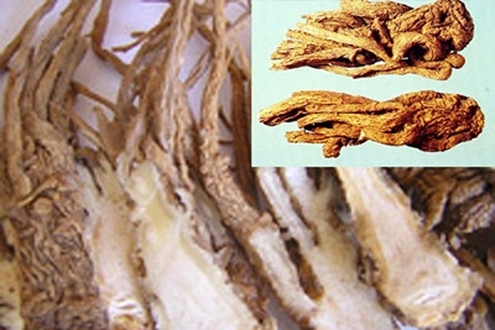 Bài thuốc cổ phương điều trị vô sinh nam
